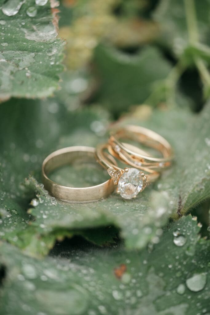 Close-up of wedding rings placed on leaves covered in raindrops